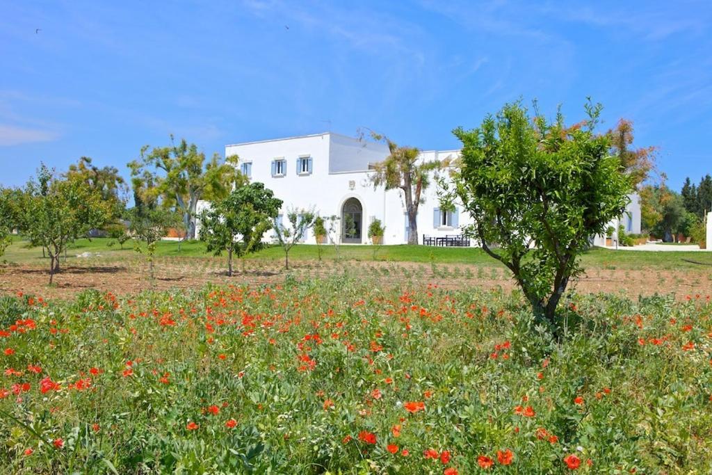 Masseria Montelauro Отранто Екстер'єр фото